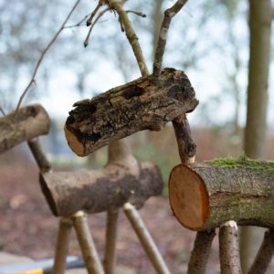 Christmas in the Woods 2025